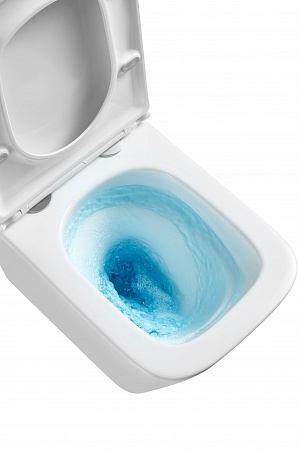 Подвесной унитаз безободковый Terminus Ватикан Monolit 490х340 белый Таганрог - фото 8