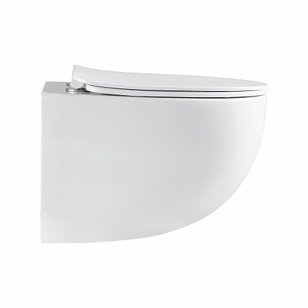 Подвесной унитаз безободковый Terminus Енисей Monolit 560х390 белый Таганрог - фото 4