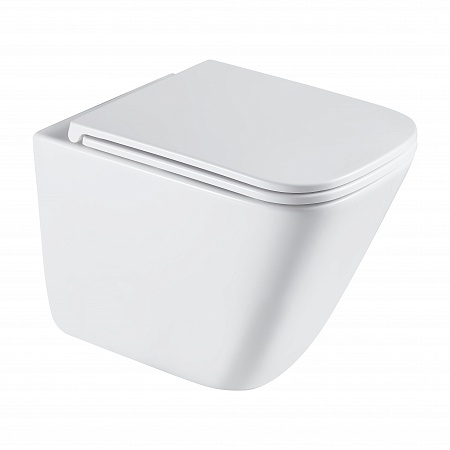 Подвесной унитаз безободковый Terminus Ватикан Monolit 490х340 белый Таганрог - фото 2