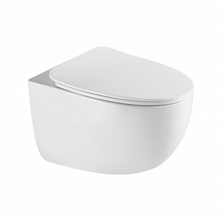 Подвесной унитаз безободковый Terminus Енисей Monolit 560х390 белый Таганрог - фото 2