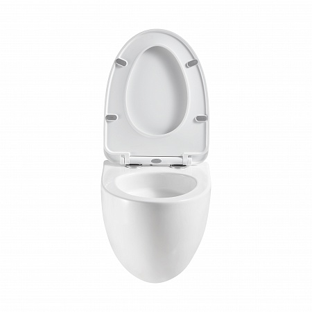 Подвесной унитаз безободковый Terminus Енисей Monolit 560х390 белый Таганрог - фото 5