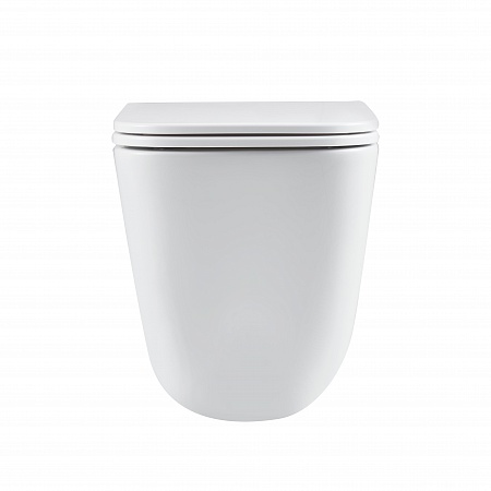 Подвесной унитаз безободковый Terminus Ватикан Monolit 490х340 белый Таганрог - фото 6