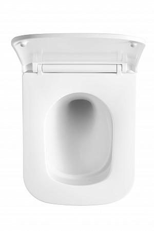 Подвесной унитаз безободковый Terminus Ватикан Monolit 490х340 белый Таганрог - фото 3